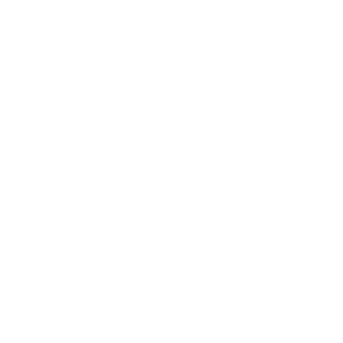 KOREAN MANUFACTURE LICENSE OF SPECIAL EQUIPMENT